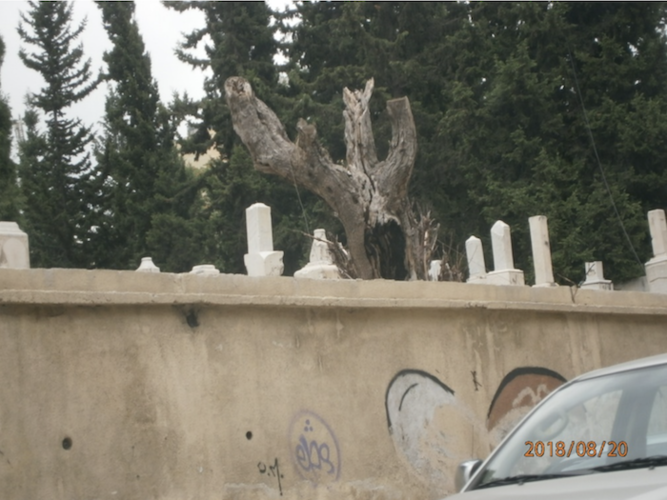 Screen shot 2018 09 22 at 12.34.13 pm