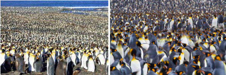 Screen shot 2019 10 07 at 5.26.14 pm