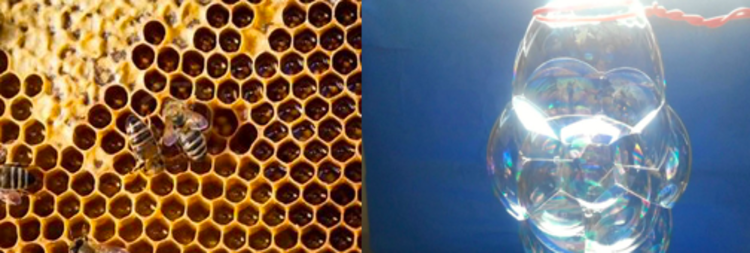 Screen shot 2019 10 07 at 5.26.23 pm