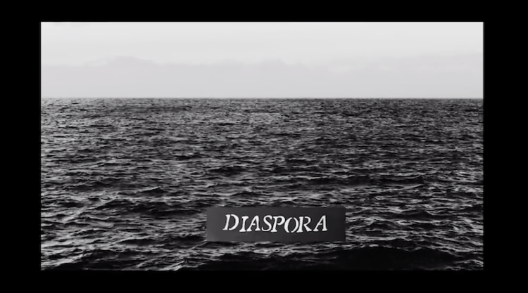 Quisierareencarnarenpalmerastill