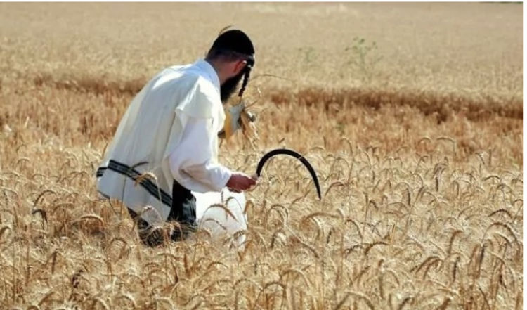 Screenshot 2024 06 05 at 1.06.00%e2%80%afpm