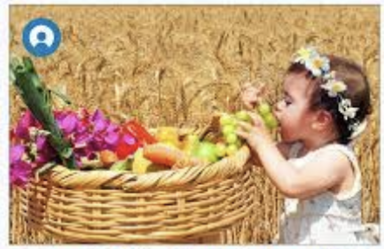 Screenshot 2024 06 05 at 1.06.21%e2%80%afpm