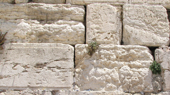 Kotel