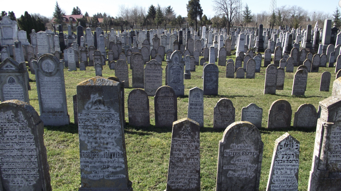 Screen shot 2018 06 20 at 5.08.37 pm