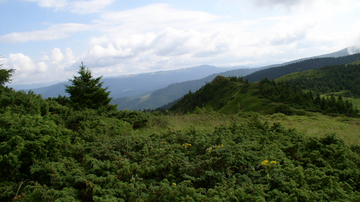 Carphatian mountains