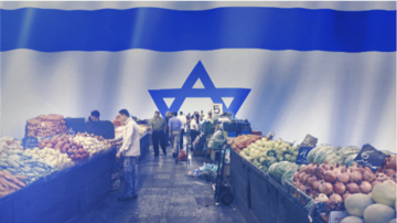 Screen shot 2019 11 13 at 1.34.14 pm