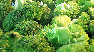 Brocoli