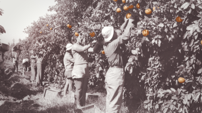 Screen shot 2020 06 10 at 3.11.40 pm